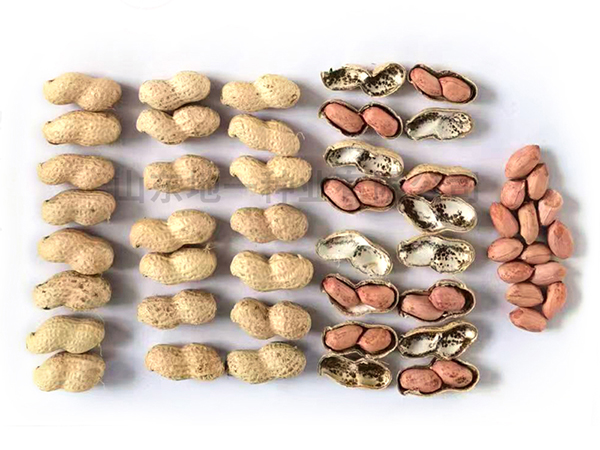 濰花25號花生種適合哪些地區？